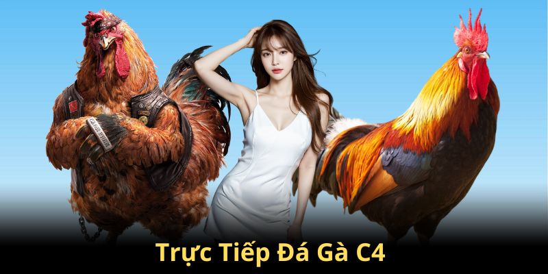 Thông tin về Trực tiếp đá gà C4