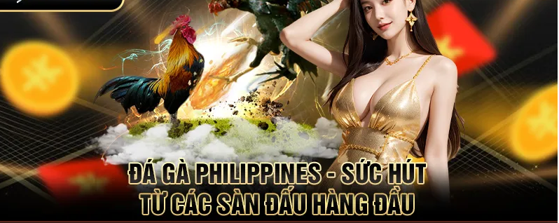 Chương trình khuyến mãi đặc biệt trên rikvip